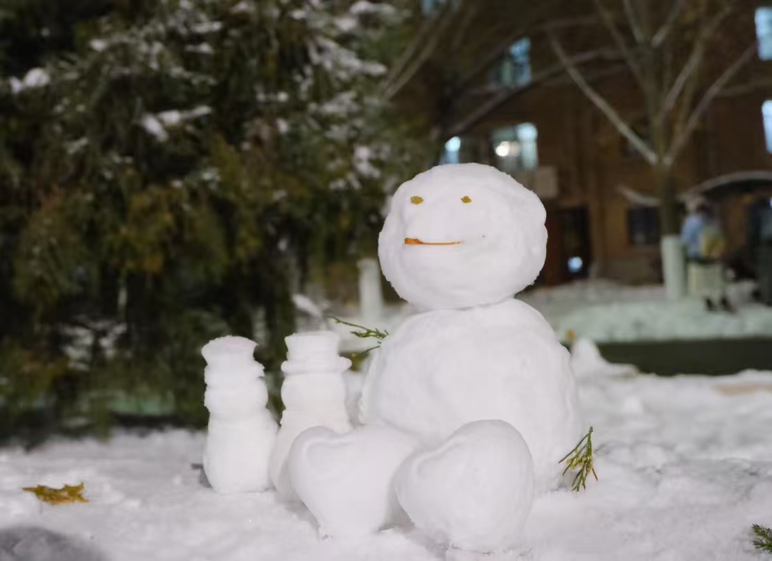 Snowman, Tsinghua University
